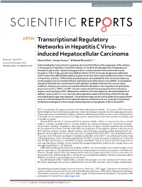Transcriptional Regulatory Networks in Hepatitis C Virus-Induced