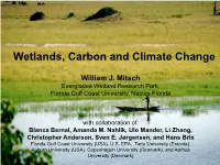 Wetlands, Carbon and Climate Change
