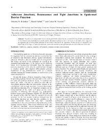 Adherens Junctions, Desmosomes and Tight Junctions in Epidermal Barrier Function Johanna M