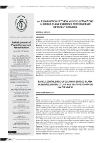 An Examination of Thigh Muscle Activations in Bridge-Plank Exercises Performed on Different Grounds