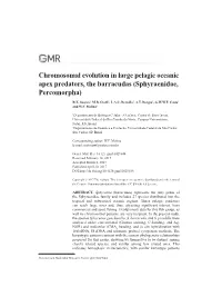 Chromosomal Evolution in Large Pelagic Oceanic Apex Predators, the Barracudas (Sphyraenidae, Percomorpha)