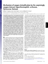 Pyrococcus Furiosus