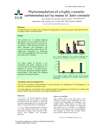Phytoremediation of a Highly Creosote- Contaminated Soil by Means of Salix Viminalis