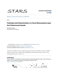 Purification and Characterization of a Novel Selenocysteine Lyase from Enterococcus Faecalis