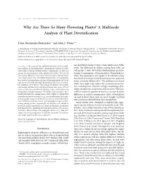 Why Are There So Many Flowering Plants? a Multiscale Analysis of Plant Diversiﬁcation
