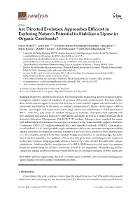 Are Directed Evolution Approaches Efficient in Exploring Nature's Potential to Stabilize a Lipase in Organic Cosolvents?