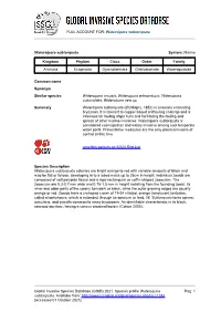 Watersipora Subtorquata Global Invasive Species Database (GISD)