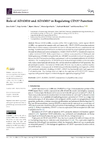 Role of ADAM10 and ADAM17 in Regulating CD137 Function