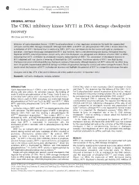 The CDK1 Inhibitory Kinase MYT1 in DNA Damage Checkpoint Recovery
