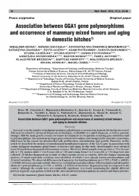 Association Between GGA1 Gene Polymorphisms and Occurrence of Mammary Mixed Tumors and Aging in Domestic Bitches1)