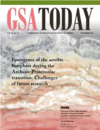 Inside: Emergence of the Aerobic Biosphere During the Archean-Proterozoic Transition: Challenges of Future Research, by Victor A