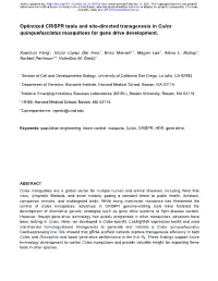 Optimized CRISPR Tools and Site-Directed Transgenesis in Culex ​ Quinquefasciatus Mosquitoes for Gene Drive Development
