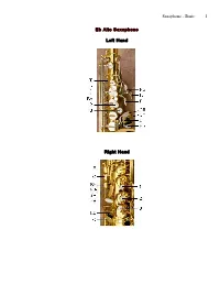 Saxophone - Basic 1