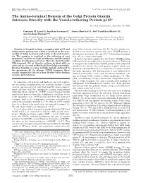 The Amino-Terminal Domain of the Golgi Protein Giantin Interacts Directly with the Vesicle-Tethering Protein P115*