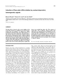 Induction of Floor Plate Differentiation by Contact-Dependent