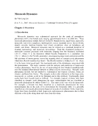 Mesoscale Dynamics