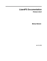 Lizardfs Documentation Release Latest