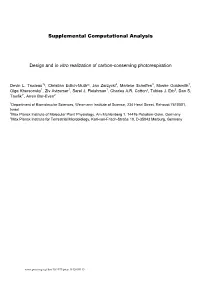Supplemental Computational Analysis
