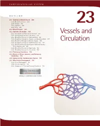 Vessels and Circulation