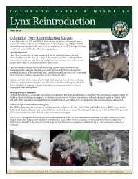 Lynx Reintroduction JUNE 2014