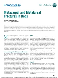 Metacarpal and Metatarsal Fractures in Dogs