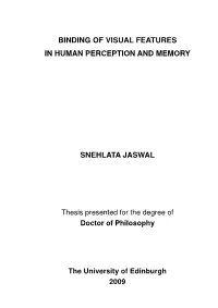 Binding of Visual Features in Human Perception and Memory