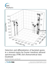 Detection and Differentiation of Bacterial Spores in a Mineral Matrix by Fourier Transform Infrared Spectroscopy (FTIR) and Chem