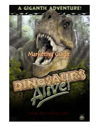 Marketing Guideguide