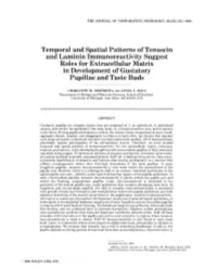 Temporal and Spatial Patterns of Tenascin and Laminin Immunoreactivity Suggest Roles for Extracellular Matrix in Development of Gustatory Papillae and Taste Buds