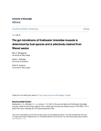 The Gut Microbiome of Freshwater Unionidae Mussels Is Determined by Host Species and Is Selectively Retained from Filtered Seston