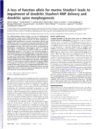 A Loss of Function Allele for Murine Staufen1 Leads to Impairment of Dendritic Staufen1-RNP Delivery and Dendritic Spine Morphogenesis