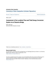 Assessment of the Localized Flow and Tidal Energy Conversion System at an Estuarine Bridge