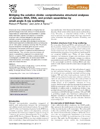Bridging the Solution Divide: Comprehensive Structural Analyses of Dynamic RNA, DNA, and Protein Assemblies by Small-Angle X-Ray