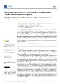 The Lysine Methylase SMYD3 Modulates Mesendodermal Commitment During Development