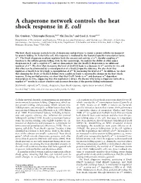 A Chaperone Network Controls the Heat Shock Response in E. Coli