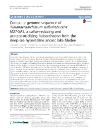 Complete Genome Sequence of 'Halanaeroarchaeum
