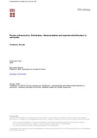 Piscine Orthoreovirus: Distribution, Characterization and Experimental Infections in Salmonids