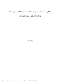 Biologically Motivated Modeling and Imitating the Chameleon's Vision