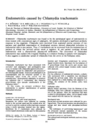 Endometritis Caused by Chlamydia Trachomatis
