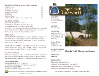 Juniper-Creek-Trail.Pdf