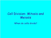 Cell Division- Ch 5