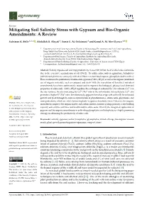 Mitigating Soil Salinity Stress with Gypsum and Bio-Organic Amendments: a Review