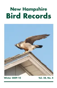 NH Bird Records