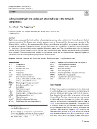 Odor Processing in the Cockroach Antennal Lobe—The Network Components