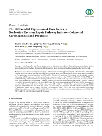 The Differential Expression of Core Genes in Nucleotide Excision Repair Pathway Indicates Colorectal Carcinogenesis and Prognosis