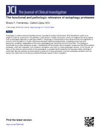 The Functional and Pathologic Relevance of Autophagy Proteases