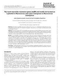 The Novel Macrolide Resistance Genes Mef(F) and Msr(G)