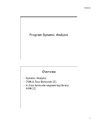 Program Dynamic Analysis Overview