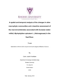 A Spatial and Temporal Analysis of the Changes in Alien Macrophyte