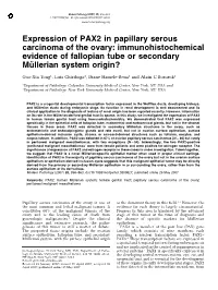 Expression of PAX2 in Papillary Serous Carcinoma of the Ovary: Immunohistochemical Evidence of Fallopian Tube Or Secondary Mu¨ Llerian System Origin?